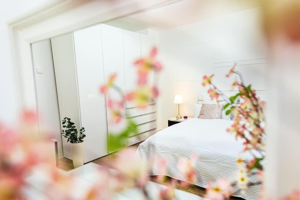Charmante Wohnung In Koblenzer Innenstadt Koblenz  Luaran gambar